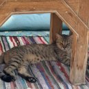 아람여관 이미지