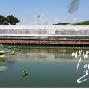 양석낚시터 이미지