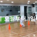 VIP 태권도장 이미지