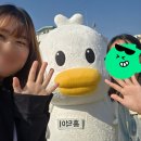 홍성(서울) | 2025 홍성 글로벌바베큐페스티벌 후기🍖| 서울/뚜벅이/당일치기