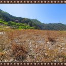 강변쉼터 민박 이미지