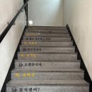 레츠펍피맥당