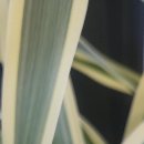 용인우리내과의원 이미지