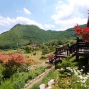 달과해 펜션 이미지