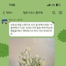 필로시코스 스튜디오