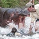 미스터리 이미지