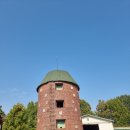 느티나무유치원 | 수원 억새, 탑동시민농장의 무르익은 가을