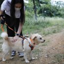 팅커벨하우스 이미지