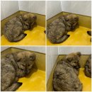 갈산2통 마을회관 이미지