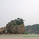 낙신여행사