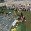 어라운드1142 이미지