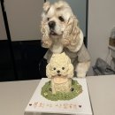 두몽언니 이미지