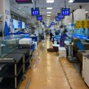 명성계측기 | 인어교주해적단 노량진횟집추천 손선장 재방문 후기