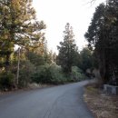 색달무상 이미지