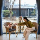 넘버원펜션 | 포천 숙소 추천 포천 애견동반 글램핑 펜션 미호글램핑 서울근교 1박2일 여행