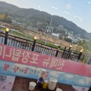 김태연 국민동태탕 이미지