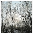 (주)방영학생활건강봉곡점 | 진안 운장산('11. 2.12) 산림청 백대명산