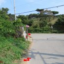 법흥3리 이미지