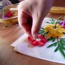 이용식농장 이미지