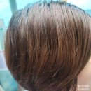 해피투개털 | 프레쉬라이트 헤어 블리치 메가메가 셀프탈색 내돈내산 후기!!