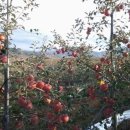 고현저수지 이미지