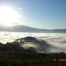 차경농장 이미지