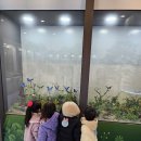 국립농업과학원 곤충박물관에서~~~ 이미지