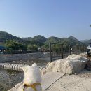 함박골농장 | 빠가사리 참게 민물 매운탕 전문 맛집/두지리 함막골 매운탕/파주 맛집