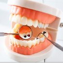 이튼튼치과의원 네이버블로그