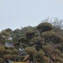 동화마을공인중개사사무소 이미지