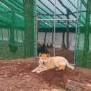 두지농장 이미지