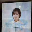 코로 | 코로아즈 내한 팬미팅 후기