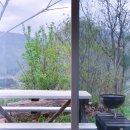 봉화강아지마을 이미지