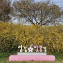 문막체육공원길 이미지