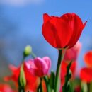 학익여자고등학교 이미지