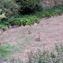 작은동물원 이미지