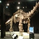 마멘치사우루스 이미지