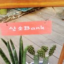 관저길약국 이미지