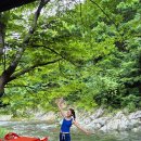 산머루집민박 | 강원도 인제 계곡 숙소 펜션, 평상 제공해주는 갯골산머루민박