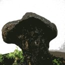 현리천 Daum카페