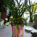 백조씽크&에어컨