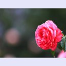 곡성-024 티스토리