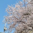 서울락비뇨기과의원 네이버블로그