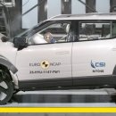 개 최고 이미지