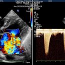 넬동물의료센터 이미지