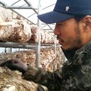 서해8농장 이미지