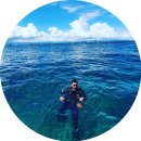 GS25 울산대점 | 울산대 와플칸 추천 / 크림통팥, 통블루베리, 인절미 / 울산대학교 바보사거리 디저트 / 가격 &amp; 메뉴