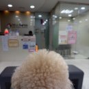 아인스동물병원 이미지