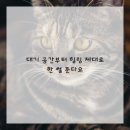 바로나치과의원 이미지
