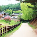 아리랑마을관광지 | 아리랑마을관광지 방문 후기 한국의 전통과 자연이 어우러진 힐링 여행